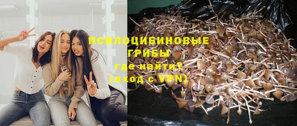 соль курить ск Нязепетровск