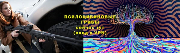 кокс Осташков